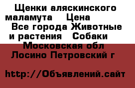 Щенки аляскинского маламута  › Цена ­ 15 000 - Все города Животные и растения » Собаки   . Московская обл.,Лосино-Петровский г.